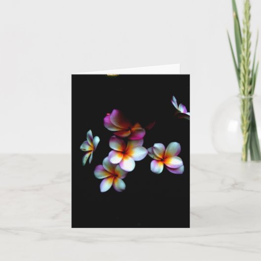 Frangipani notecard karte (Vorderseite)