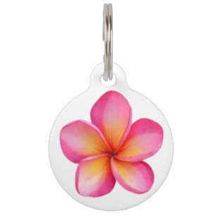 Frangipani Pet Tag Haustiermarke