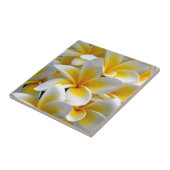 Frangipani Plumeria Blume Foto Fliese (Seite)