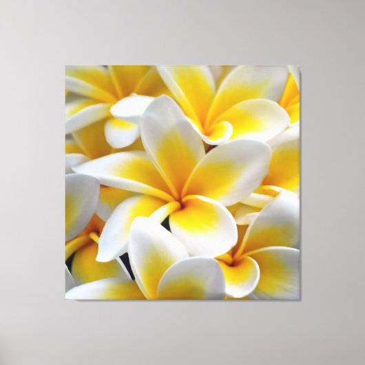 Frangipani Plumeria Blume Foto Leinwanddruck (Vorderseite)