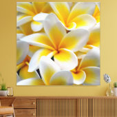Frangipani Plumeria Blume Foto Leinwanddruck (Insitu (Wohnzimmer))