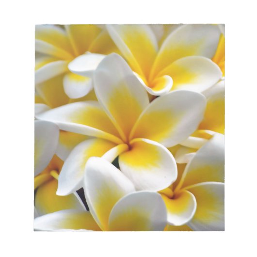 Frangipani Plumeria Blume Foto Notizblock (Vorderseite)