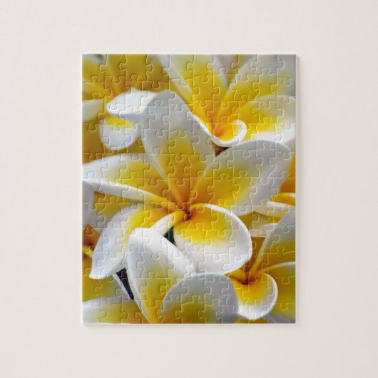 Frangipani Plumeria Blume Foto Puzzle (Vertikal)