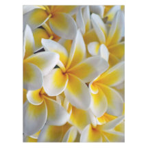 Frangipani Plumeria Blume Hochzeit