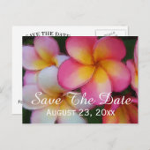 Frangipani Plumeria Blume Save the Date Hochzeit Ankündigungspostkarte (Vorne/Hinten)