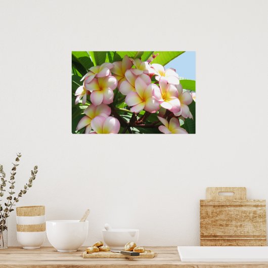 Frangipani Poster (Küche)