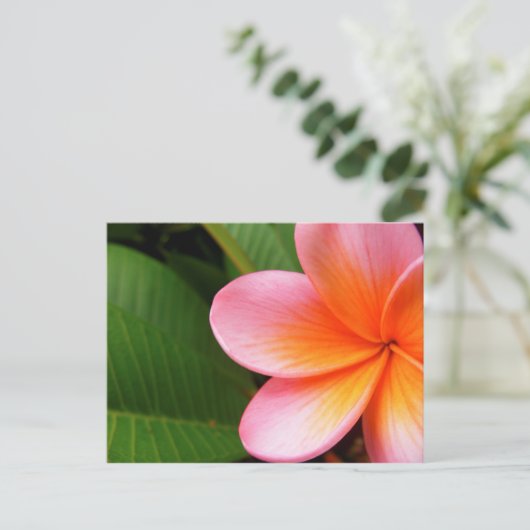 Frangipani Postkarte (Stehend Vorderseite)