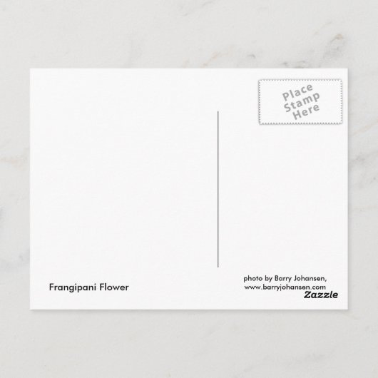 Frangipani Postkarte (Rückseite)