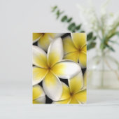 Frangipani Postkarte (Stehend Vorderseite)