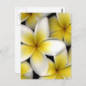 Frangipani Postkarte (Vorne/Hinten)