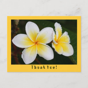 Frangipani Postkarte