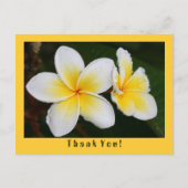 Frangipani Postkarte (Vorderseite)