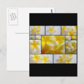 Frangipani Postkarte (Vorne/Hinten)