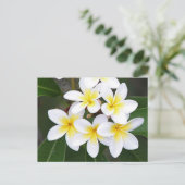 Frangipani Postkarte (Stehend Vorderseite)