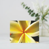 Frangipani Postkarte (Stehend Vorderseite)