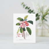 Frangipani Postkarte (Stehend Vorderseite)