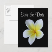 Frangipani Save the Date Ankündigungspostkarte (Vorne/Hinten)