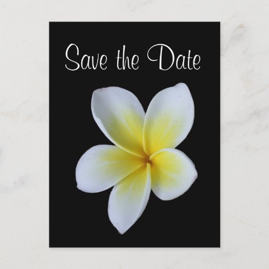 Frangipani Save the Date Ankündigungspostkarte (Vorderseite)