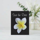 Frangipani Save the Date Ankündigungspostkarte (Stehend Vorderseite)