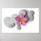 Frangipani und Kies Poster (Vorne)