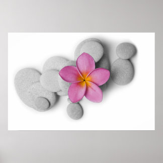 Frangipani und Kies Poster