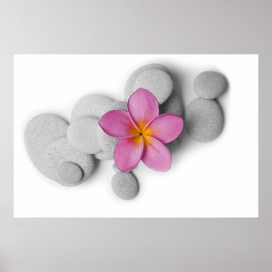 Frangipani und Kies Poster (Vorne)
