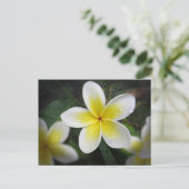 Frangipani und Raindrops Postkarte (Stehend Vorderseite)