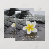 Frangipani Wedding Save the Date Ankündigungen (Vorne/Hinten)