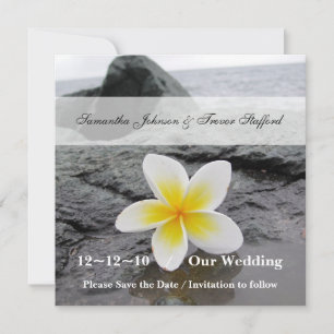 Frangipani Wedding Save the Date Ankündigungen