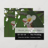 Frangipani Wedding Save the Date Ankündigungen (Vorne/Hinten)