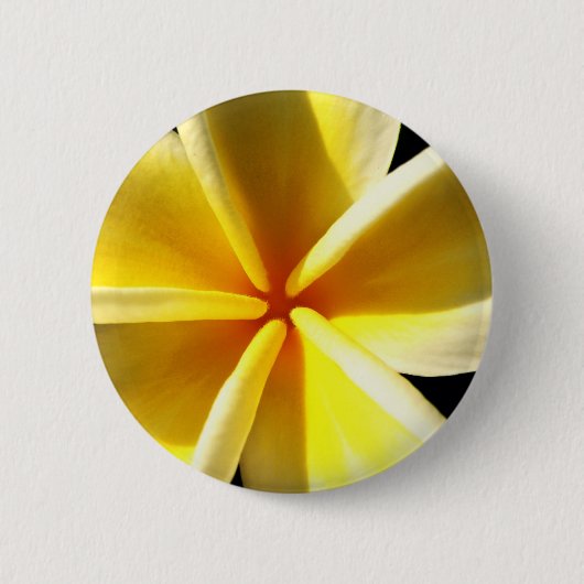 Frangipanis Button (Vorderseite)