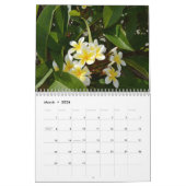 Frangipanis Die Schönheit der Freude 2023 Kalender (Mär 2026)