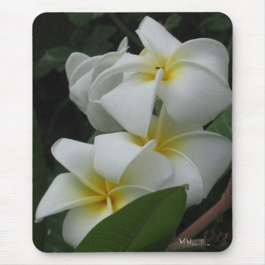 Frangipanis-Foto Mousepad (Vorne)