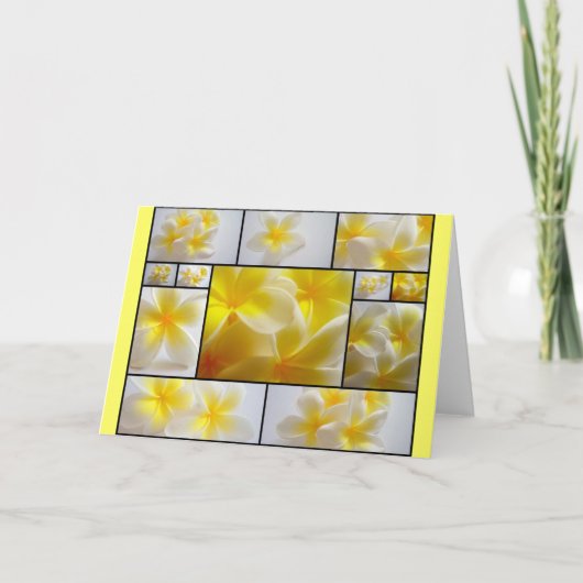 Frangipanis Karte (Vorderseite)