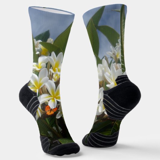 Frangipanis mit Schmetterling, Socken (Gewinkelt)