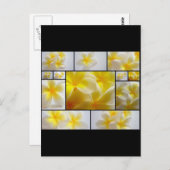 Frangipanis Postkarte (Vorne/Hinten)