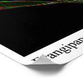 Frangipanni Poster (Ecke)