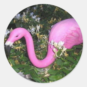 Frank der Flamingo Stickers