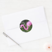 Frank der Flamingo Stickers (Umschlag)