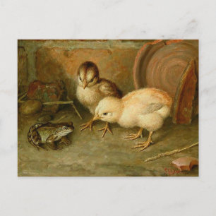 Frank Paton - Sie sind keine Hühnerpostkarte Postkarte