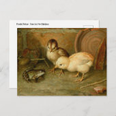 Frank Paton - Sie sind keine Hühnerpostkarte Postkarte (Vorne/Hinten)