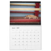 Frank Roberts Fotografy Calendar Kalender (Mär 2027)