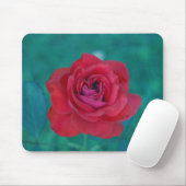 Frank-Rose Mousepad (Mit Mouse)