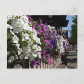 Frankenmuth, Michigan Postkarte (Vorderseite)