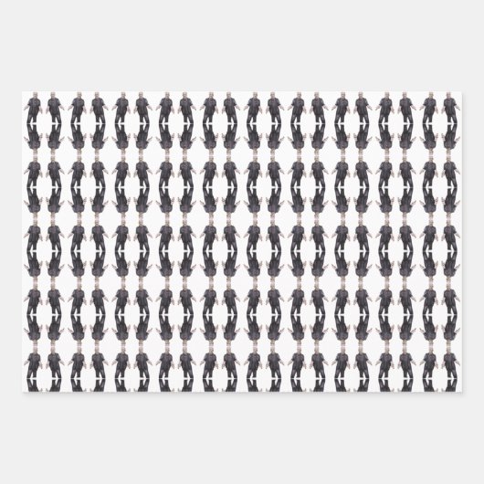 Frankenstein Wrapping Paper Sheets Geschenkpapier Set (Vorderseite)