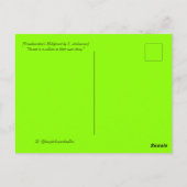 Frankensteins Maleficent Postkarte (Rückseite)