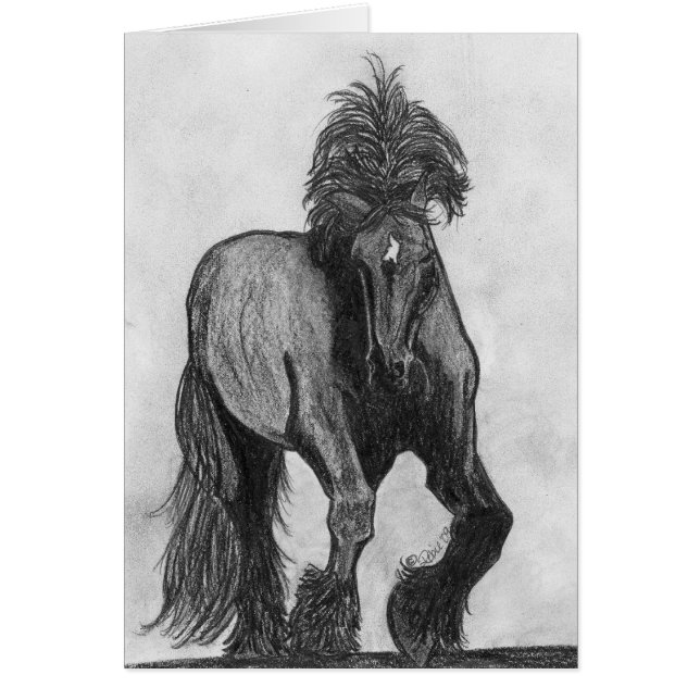 Frankie (Vorne)