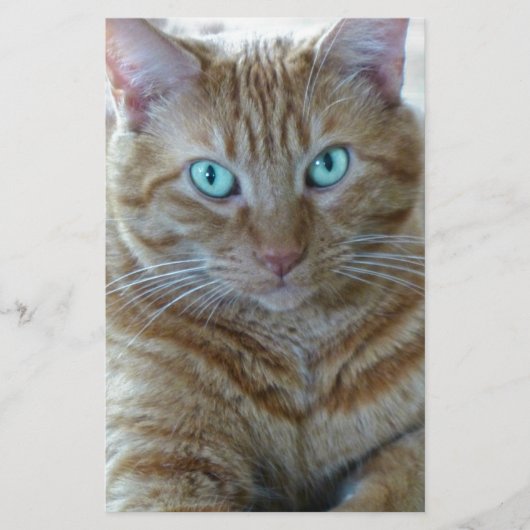 Frankie Briefpapier (Vorderseite)