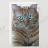 Frankie Briefpapier (Vorne/Hinten)