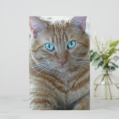 Frankie Briefpapier (Stehend Vorderseite)